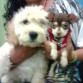 SAMY Y ROCKY